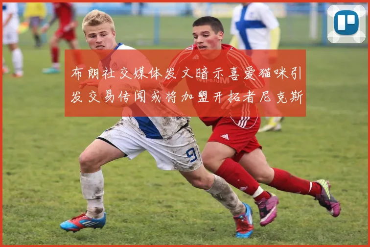 布朗社交媒体发文暗示喜爱猫咪引发交易传闻或将加盟开拓者尼克斯雷霆湖人